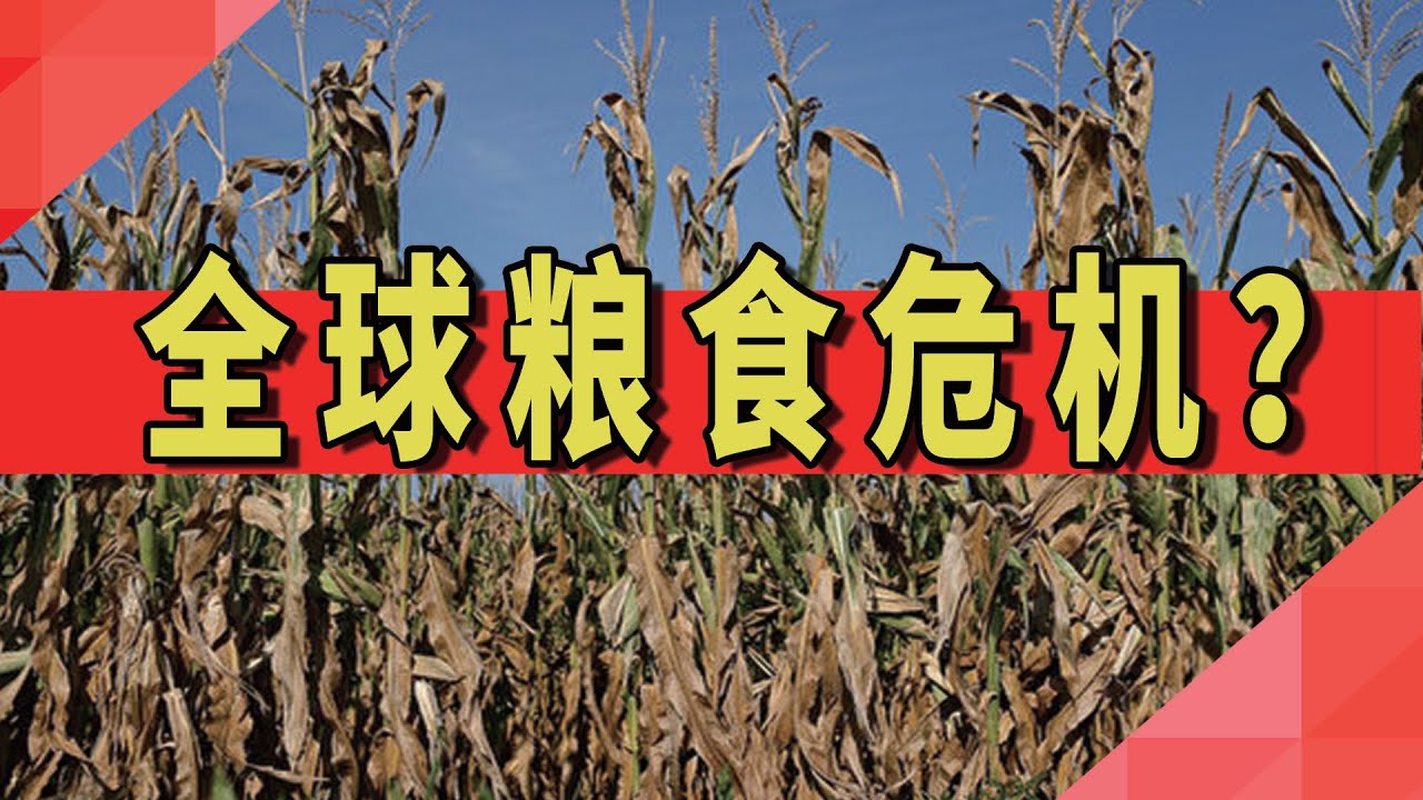 如松：大危机，盛世饥荒