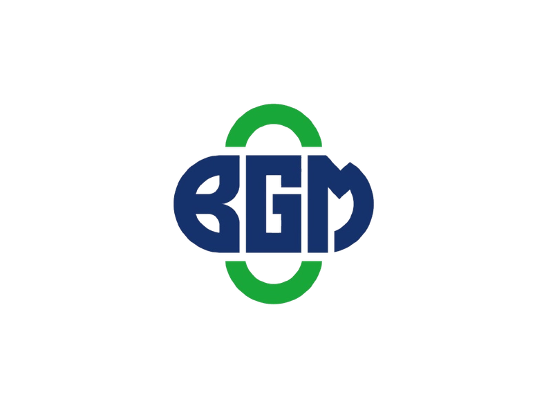 中国中药生产商：BGM Group Ltd.(BGM)