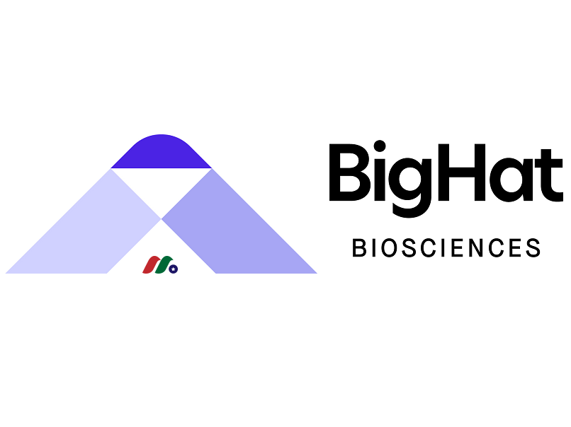 以人工智能为基础的抗体设计平台公司：BigHat Biosciences, Inc.
