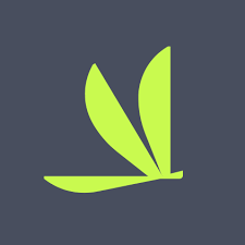 全方位服务的私人航空公司：Volato Group, Inc.(SOAR)-图片2