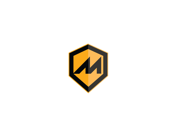 休闲全地形车和多用途地形车生产商：Massimo Group(MAMO)